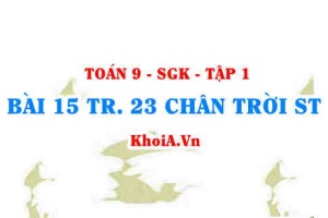 Bài 15 trang 23 Toán 9 Chân trời sáng tạo Tập 1